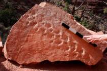 This 2018 photo shows fossil footprints on the face of a rock that fell near a popular hiking t ...