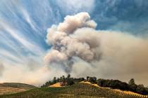 A plume rises over a vineyard in unincorporated Napa County as the Hennessey Fire burns on Tues ...