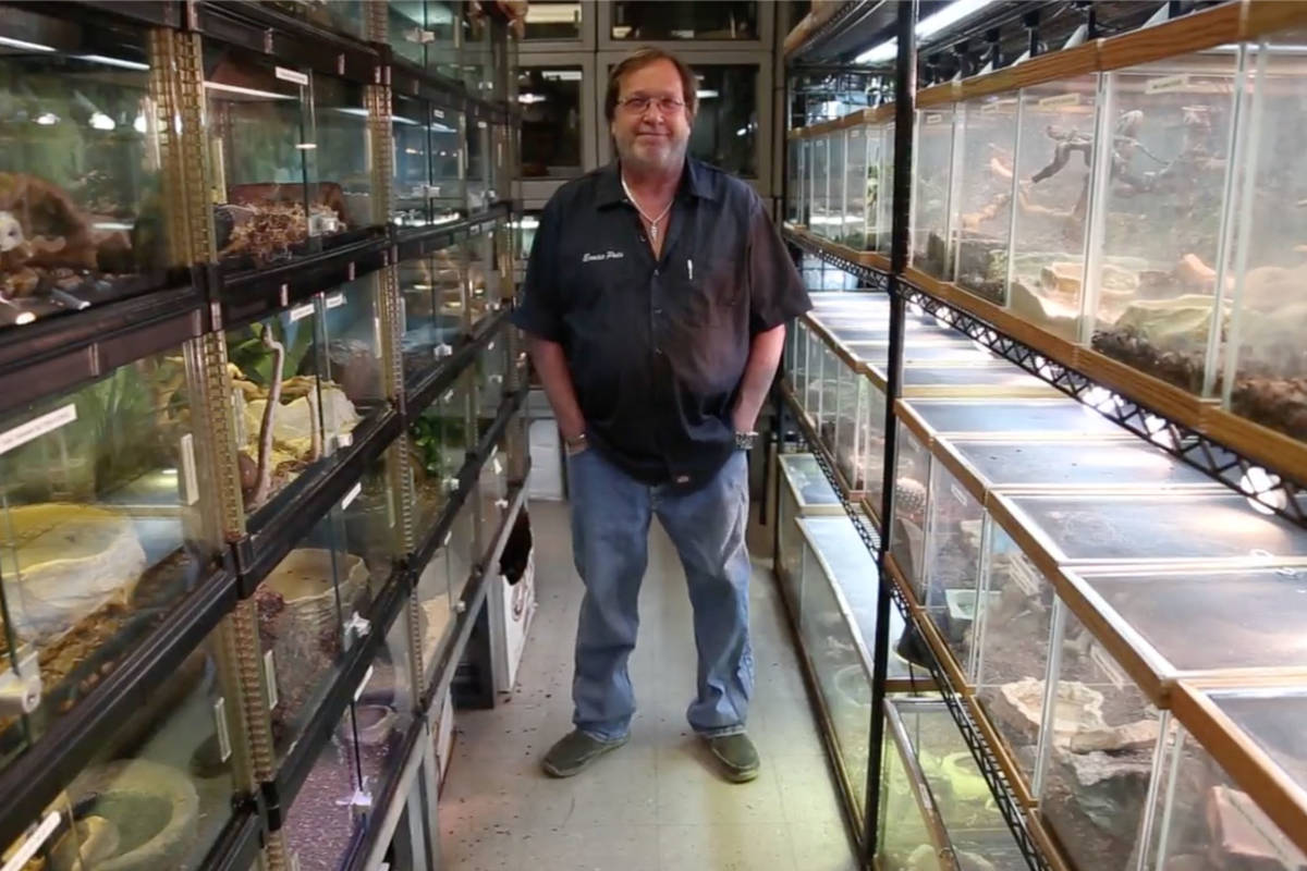 Ken Foose poses inside his store in 2016. (Rachel Aston/Las Vegas Review-Journal)