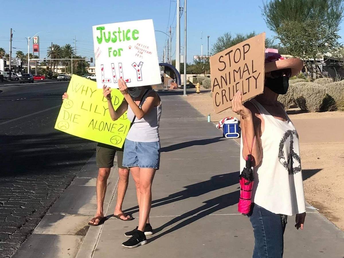 Protesters were in front of North Las Vegas City Hall on Wednesday to ask for felony charges ag ...