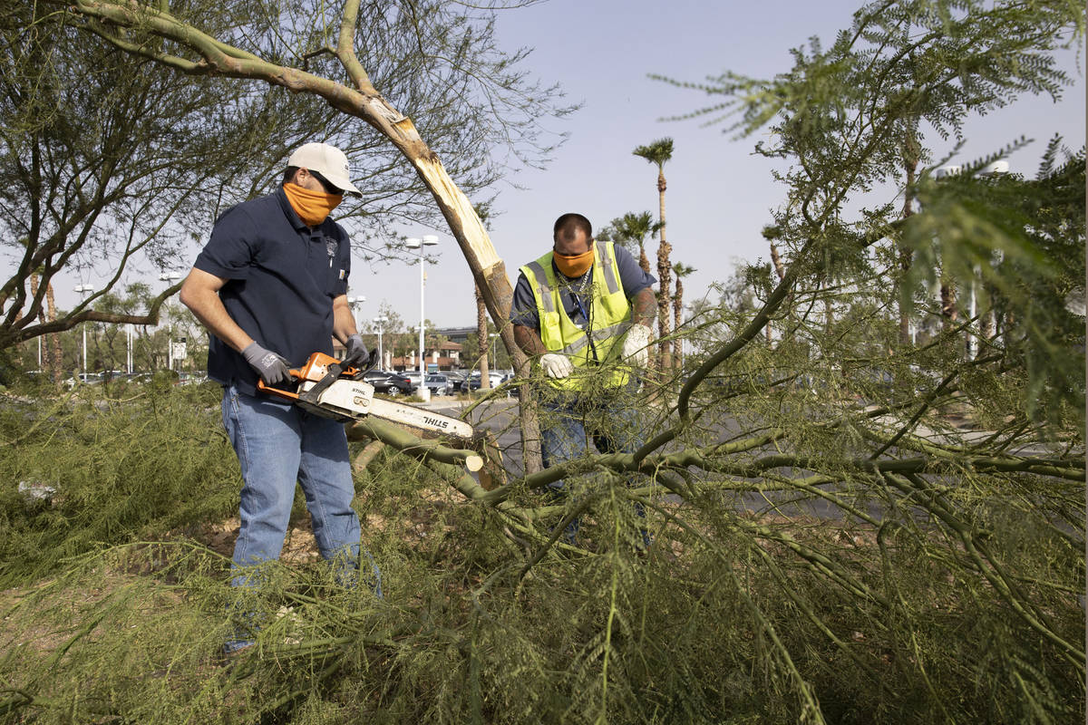 Las Vegas city workers remove tree branches broken by strong wind on Sahara Avenue, near Jones ...