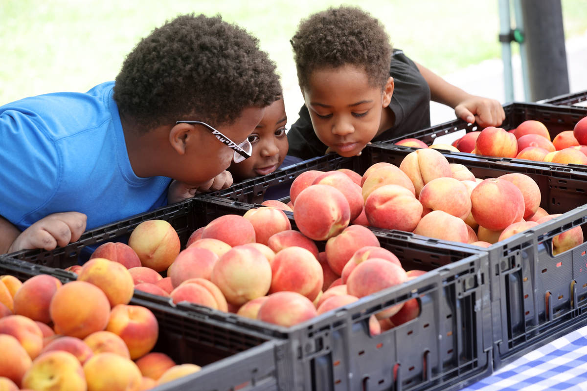 Cousins, from left, Ean Good, 10, Liam Carothers, 4, and Ethan Good, 8, check out the produce a ...