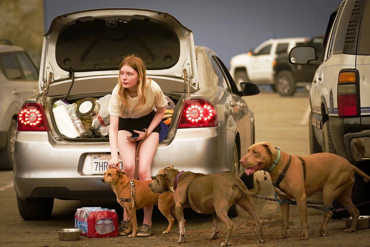 Kelsey Mueller, 16, of Armona, Calif., pets her dogs while waiting with her family to be escort ...