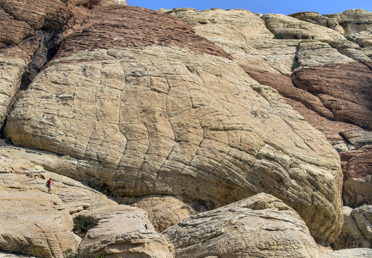 A climber makes his way down from the Sandstone Quarry in the Red Rock Canyon National Recreati ...