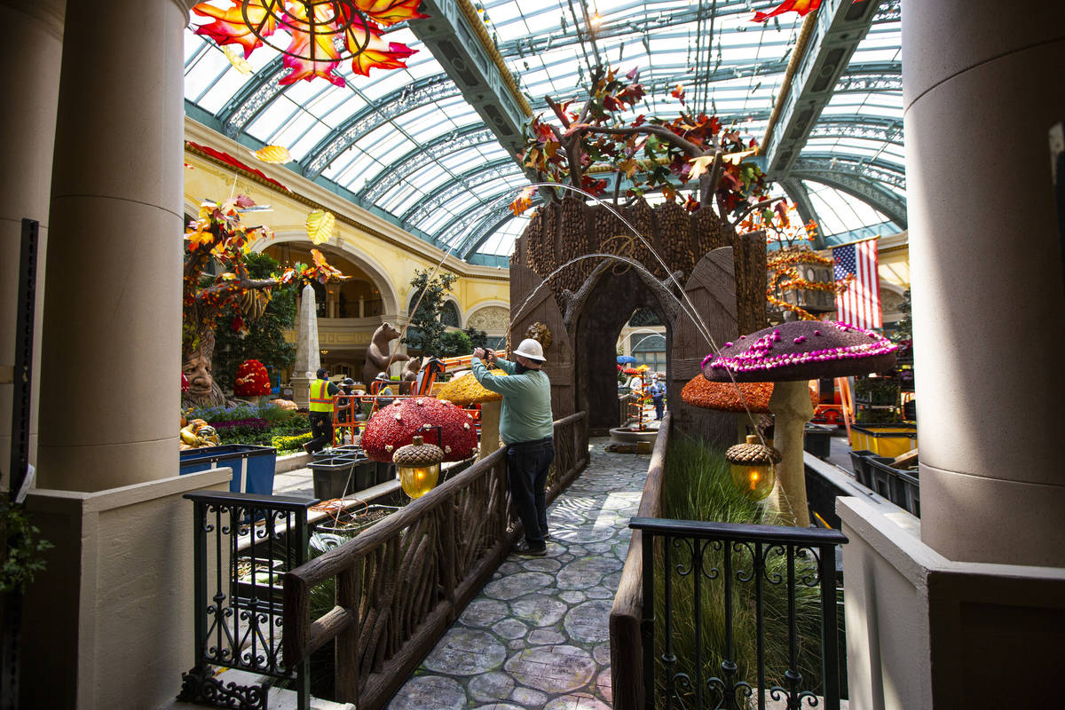 Jerry Bowlen, executive director of horticulture for MGM Resorts International, takes a picture ...