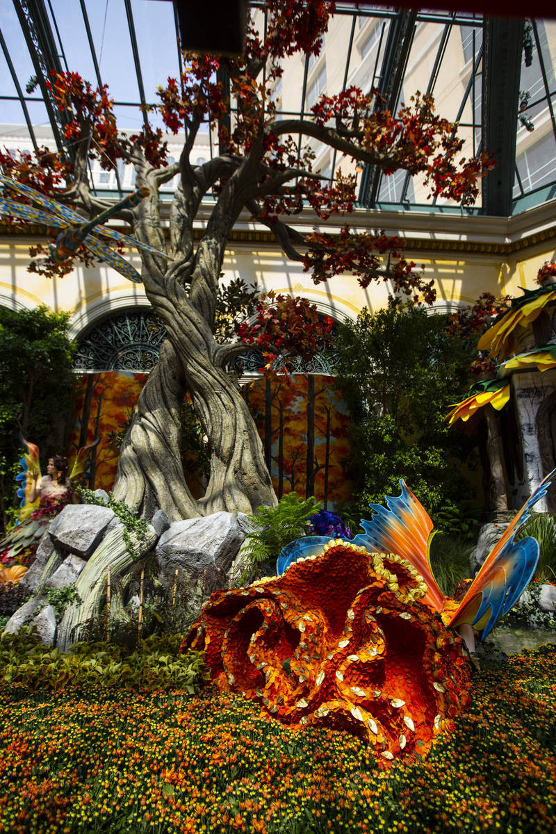 Bellagio Conservatory greets fall with magical garden display Las