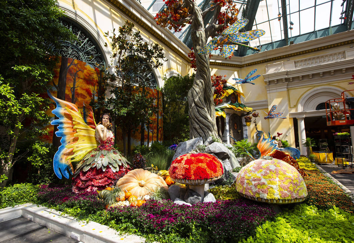Bellagio Conservatory greets fall with magical garden display Las