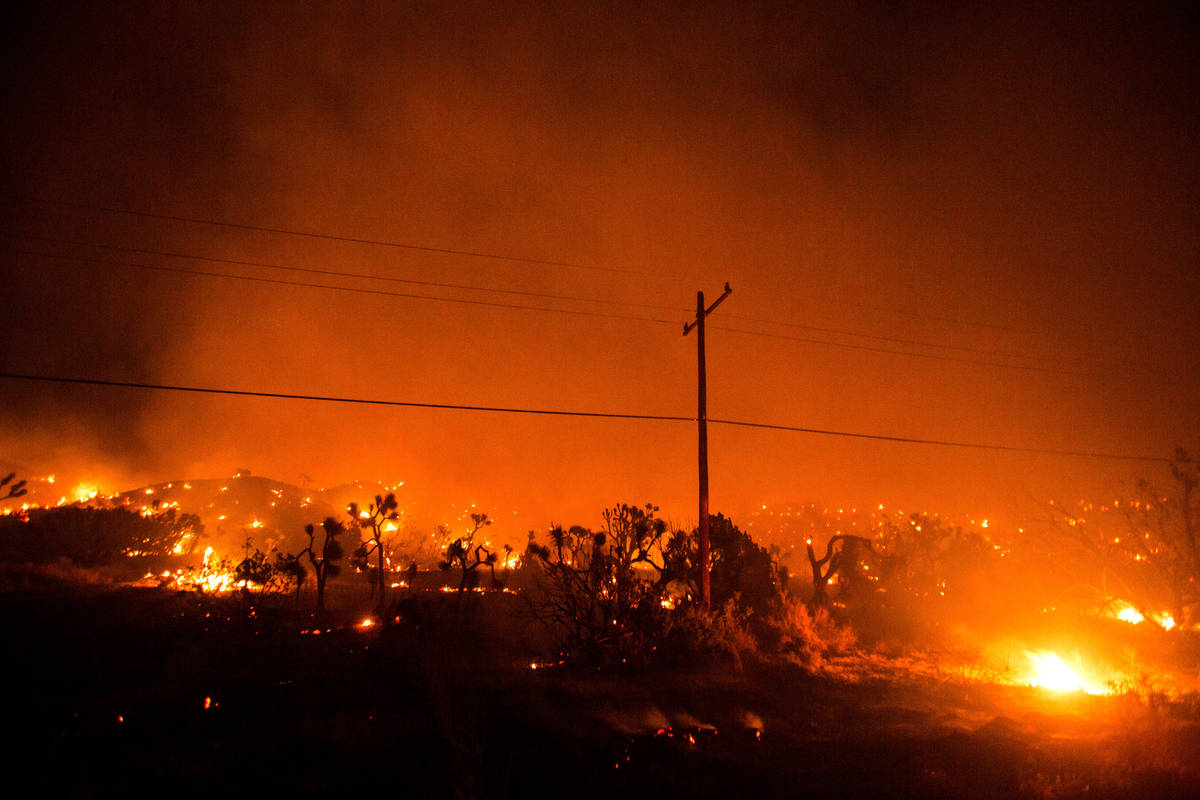 Trees and other vegetation are consumed by the Bobcat Fire in Juniper Hills, Calif., Friday, Se ...