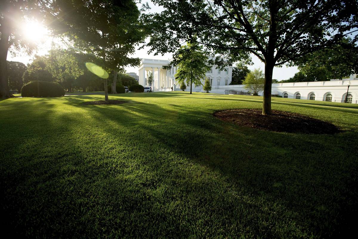 The sun rises over the White House in Washington in 2016. (AP Photo/Andrew Harnik)