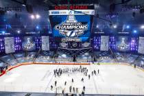 Tampa Bay Lightning players celebrate after defeating the Dallas Stars to win the Stanley Cup i ...