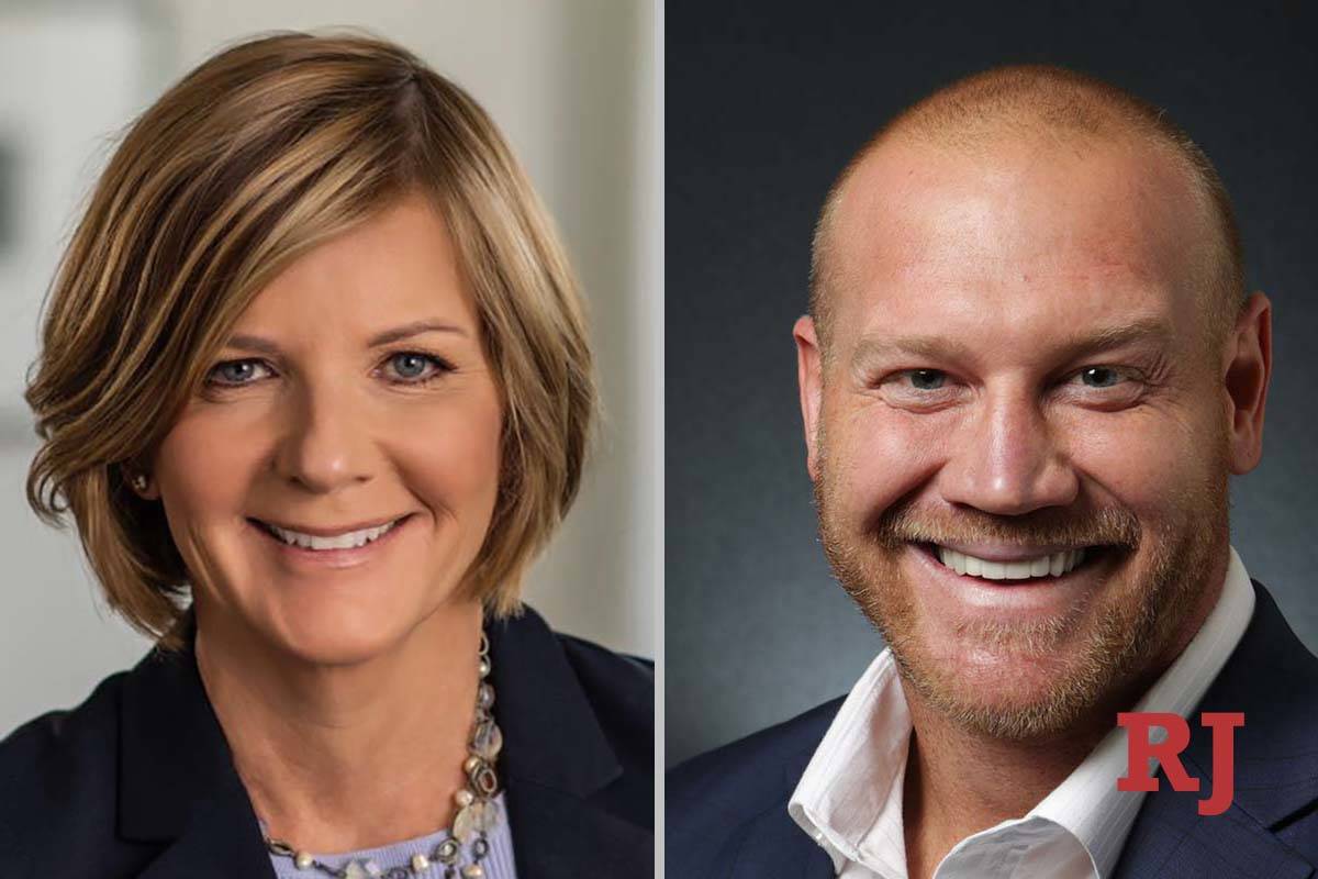 Nevada 3rd Congressional District Heated ads in LeeRodimer race