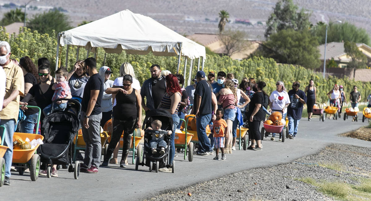 People line up to check out after picking their Halloween pumpkins at Gilcrease Orchard, on Tue ...