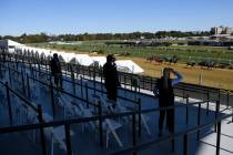 Fans watch the fifth race ahead of the 145th Preakness horse race at Pimlico race course, Satur ...