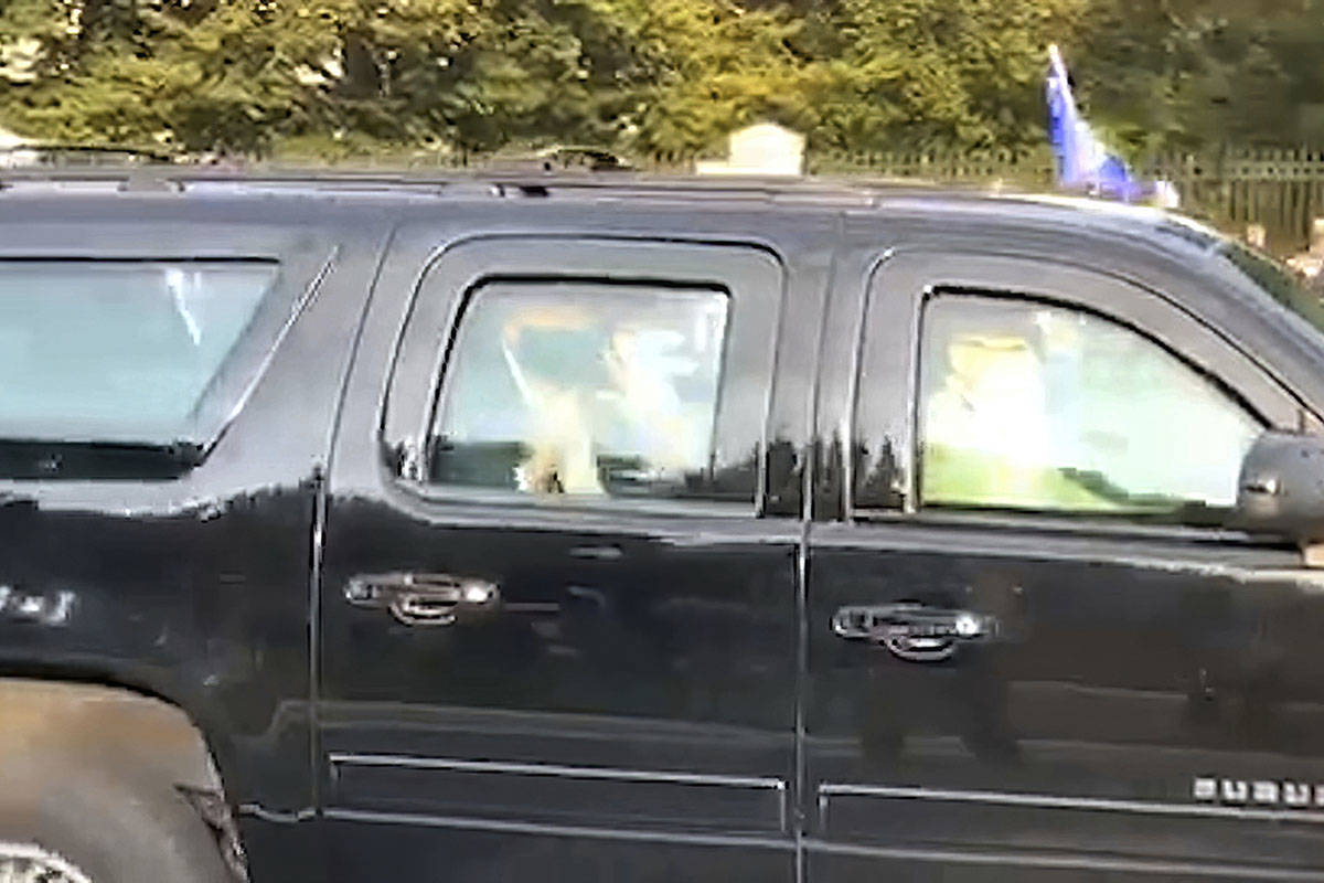 In this image from video, President Donald Trump drives past supporters gathered outside Walter ...