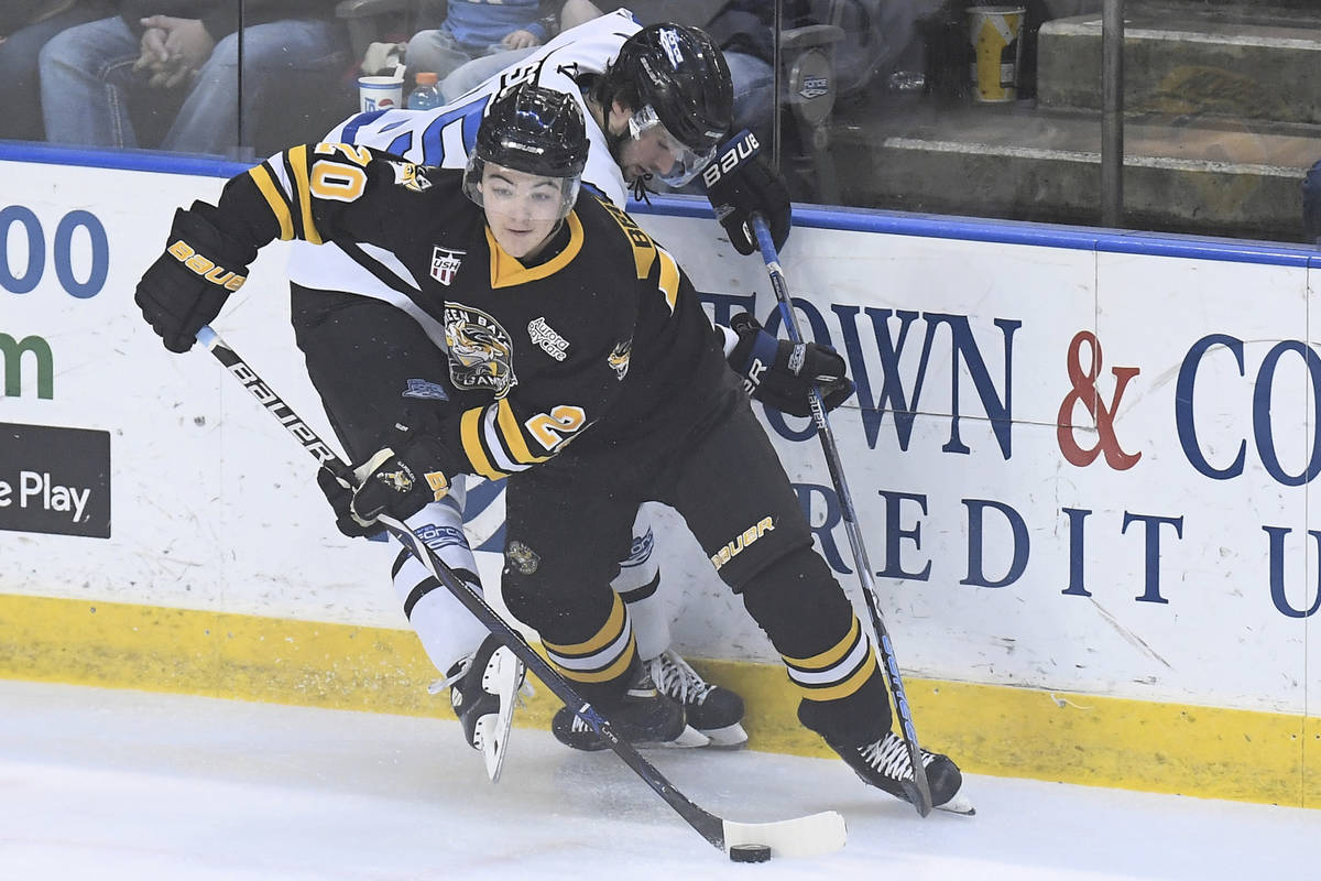 January 5, 2019: Green Bay Gamblers forward Brendan Brisson (20) avoids a check in during a USH ...