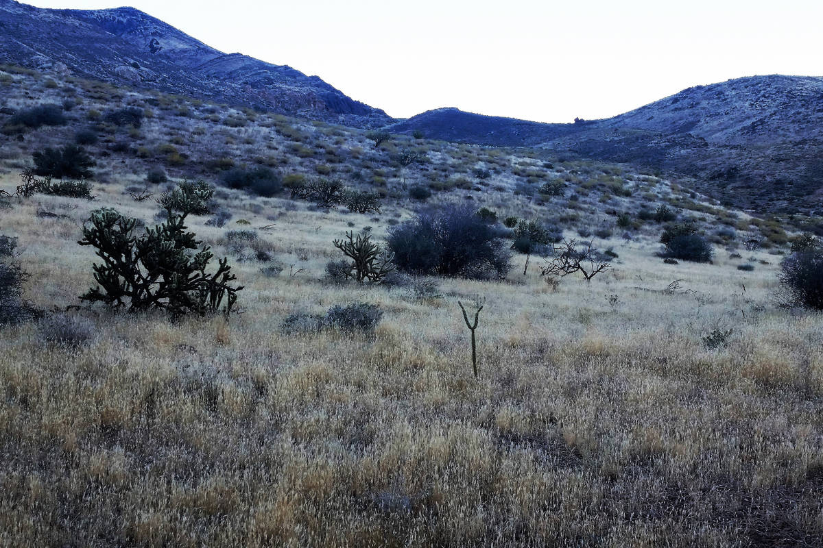 Grassy hillsides with brush-filled draws and steep slopes are a good place to start looking for ...