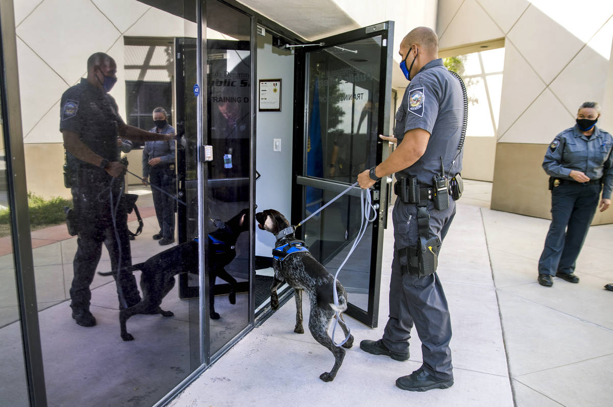 Nevada Highway Patrol Trooper Clifton Davis leads Skipper, a German shorthaired pointer, into t ...