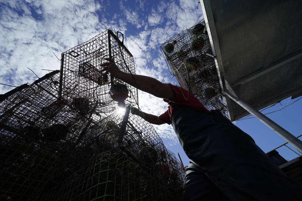 Jule Chaisson pulls his crab traps from Bayou Dularge in anticipation of Hurricane Delta, expec ...