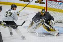 Vegas Golden Knights center Reid Duke (37, left) stops short of goaltender Marc-Andre Fleury ( ...