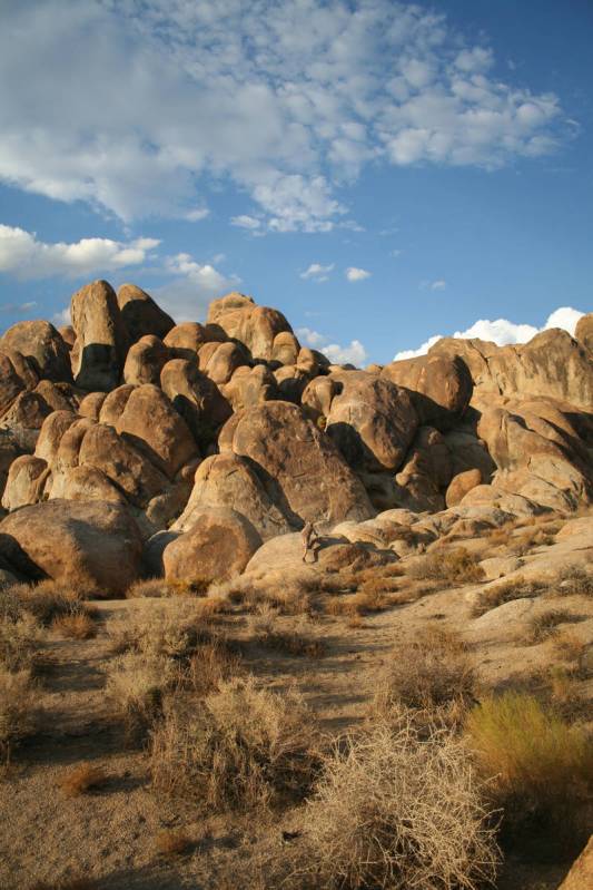 More than 400 films have used the Alabama Hills as a backdrop. (Deborah Wall/Las Vegas Review-J ...