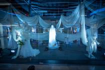 The Great Hall to snap photos of a spider web installation and mummy fashion exhibit. (Fashion ...
