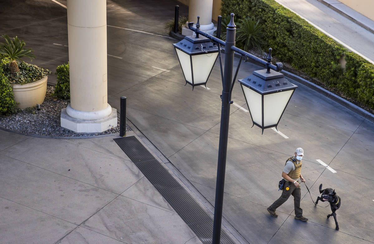 A K-9 officer and his dog patrol the area following the reopening celebration for the The Cromw ...