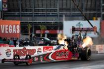 Top Fuel driver Steve Torrence races in the Dodge NHRA Finals at Las Vegas Motor Speedway on Su ...