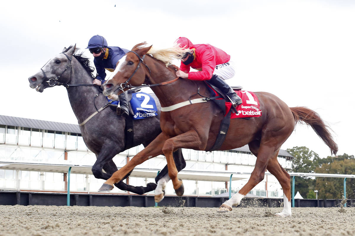BidenHisTime and SuperTrump during the Betfair Race to the White House stakes. (BetFair)