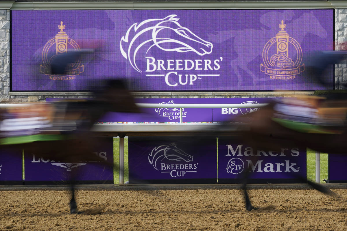 Horses pass a video board during a workout for the Breeders' Cup World Championship horse races ...