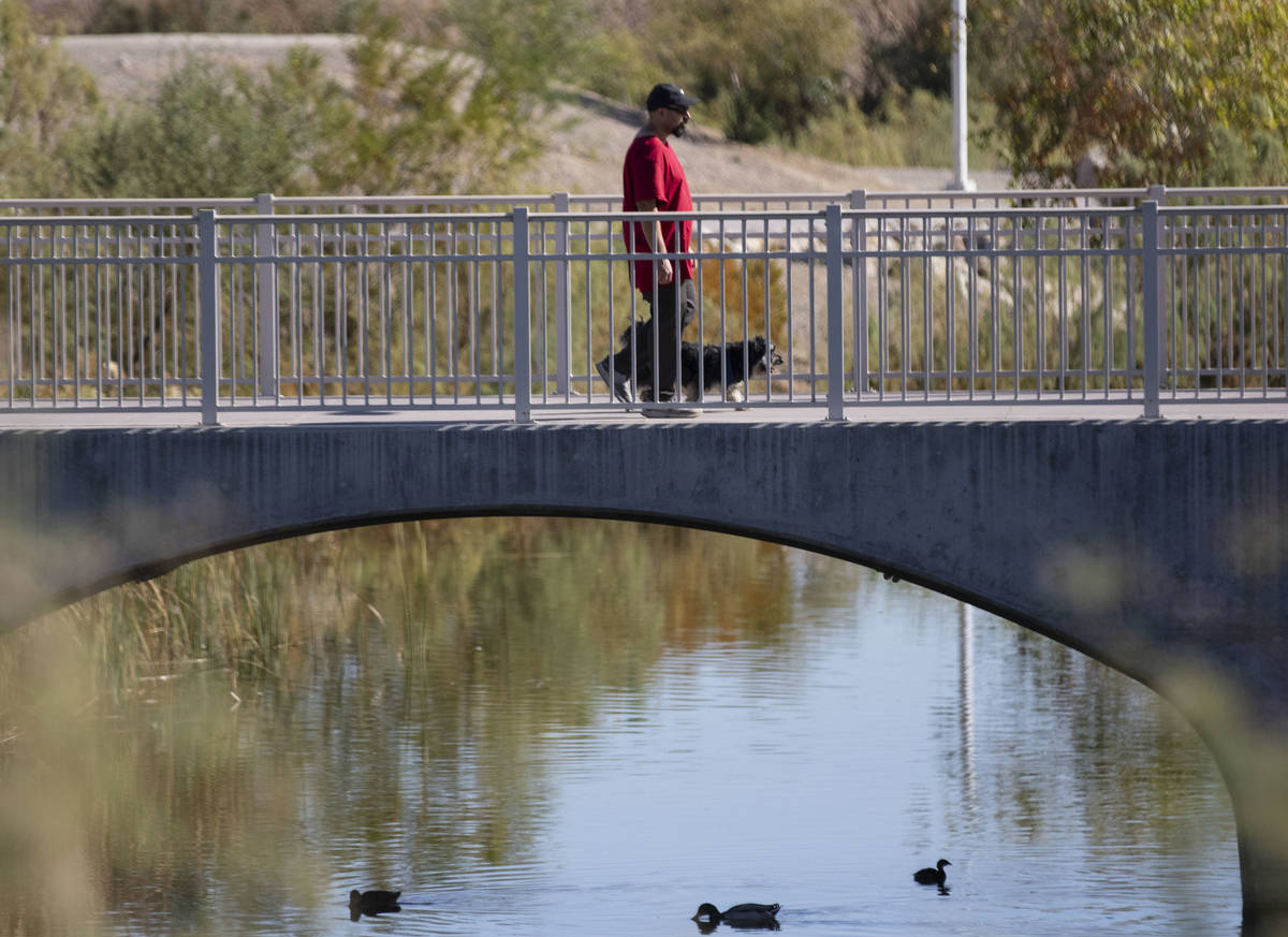A man walks with his dog on pedestrian bridge at Cornerstone Park, on Thursday, Nov. 5, 2020, i ...