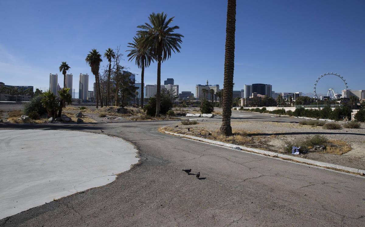 Vacant land east of the Strip on Paradise Road between an empty Siegel Group hotel and a DXL st ...