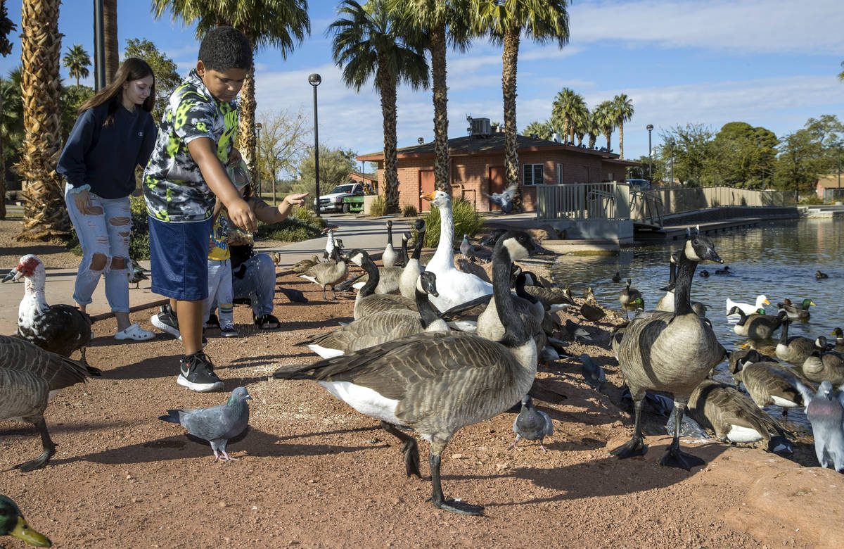 Tyree Turner, 9, left, sprinkles some bread crumbs with Harley Rose, 16, while feeding the bir ...