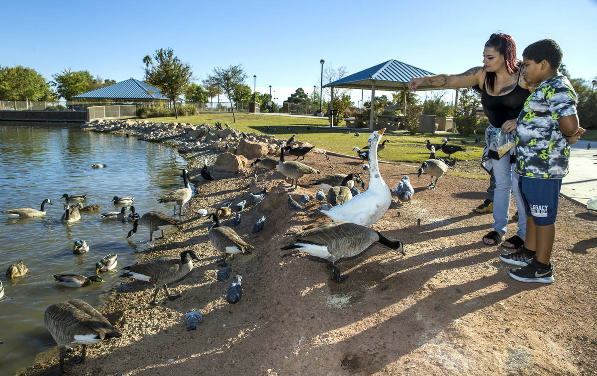 Amber Turner, right center, sprinkles some bread crumbs to the birds with Tyree Turner, 9, join ...