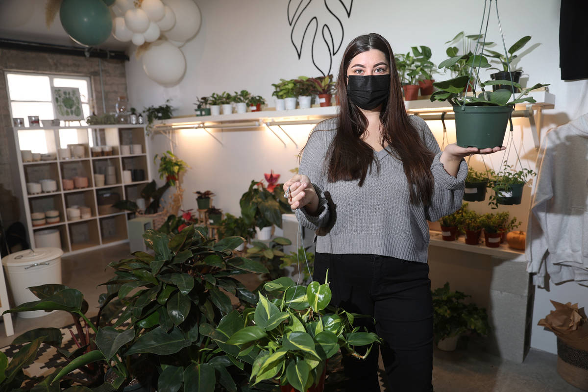 Carissa Beasley, owner of the LV Plant Collective store, poses for a portrait inside of her sho ...