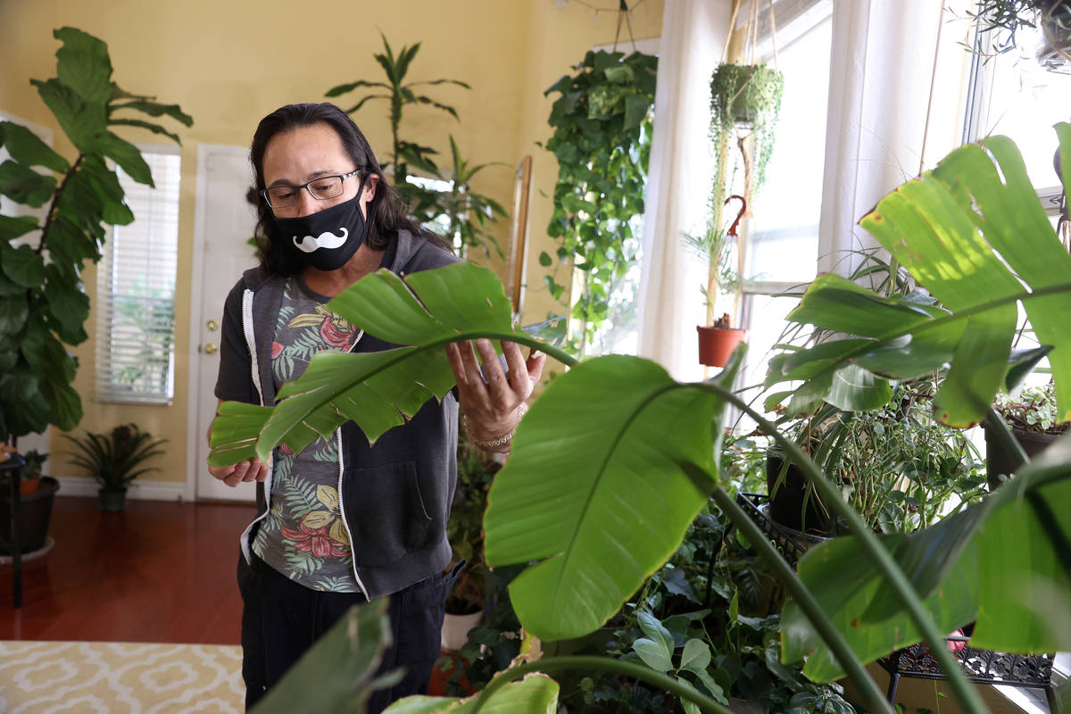 Plant enthusiast T.J. Dahna shows his collection of plants at his home in Las Vegas on Thursday ...