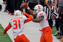 Illinois linebacker Tarique Barnes (44) celebrates with defensive back Devon Witherspoon (31) a ...