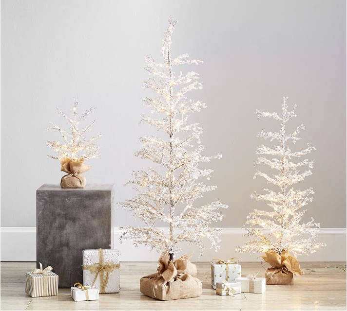 A slender tree may be a better tree for small spaces. With a slim profile and snowy white displ ...