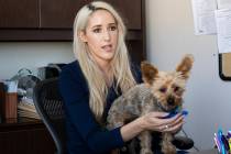 Deputy District Attorney Ashley Lacher speaks with the Review-Journal while holding Jack, a dog ...