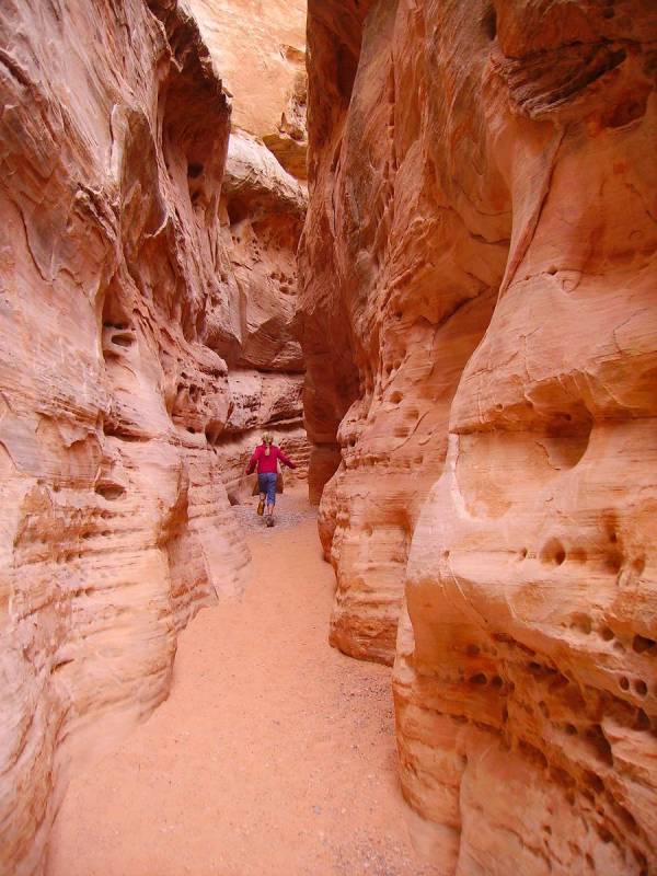 IThe White Domes Loop Trail features various types of terrain including a short walk through a ...