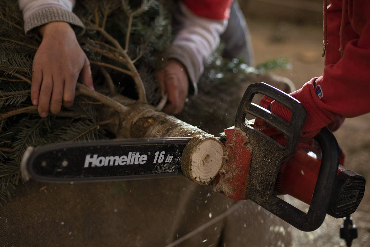 Employees trim a tree at Rudolph's Christmas Trees on Saturday, Dec. 5, 2020, in Las Vegas. Eac ...