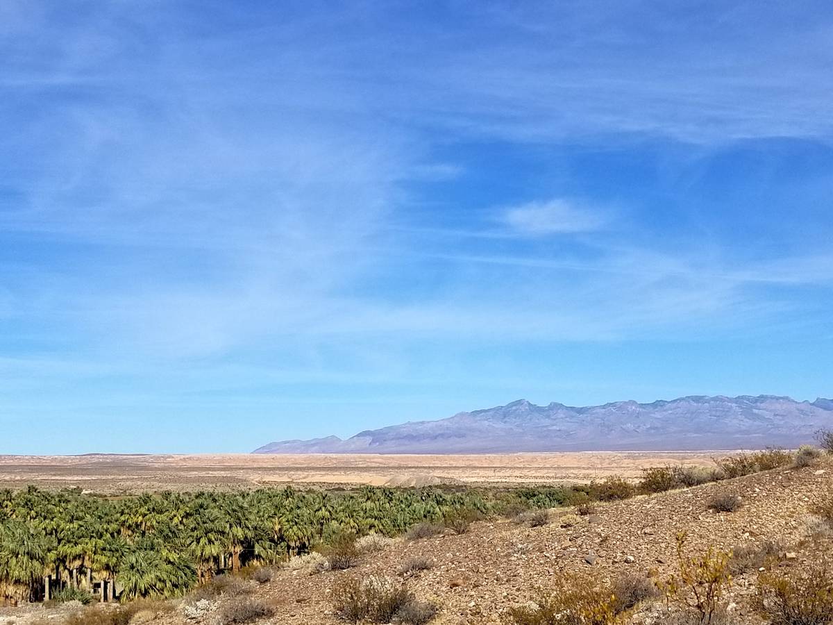 Moapa Valley an oasis in the desert Travel Life