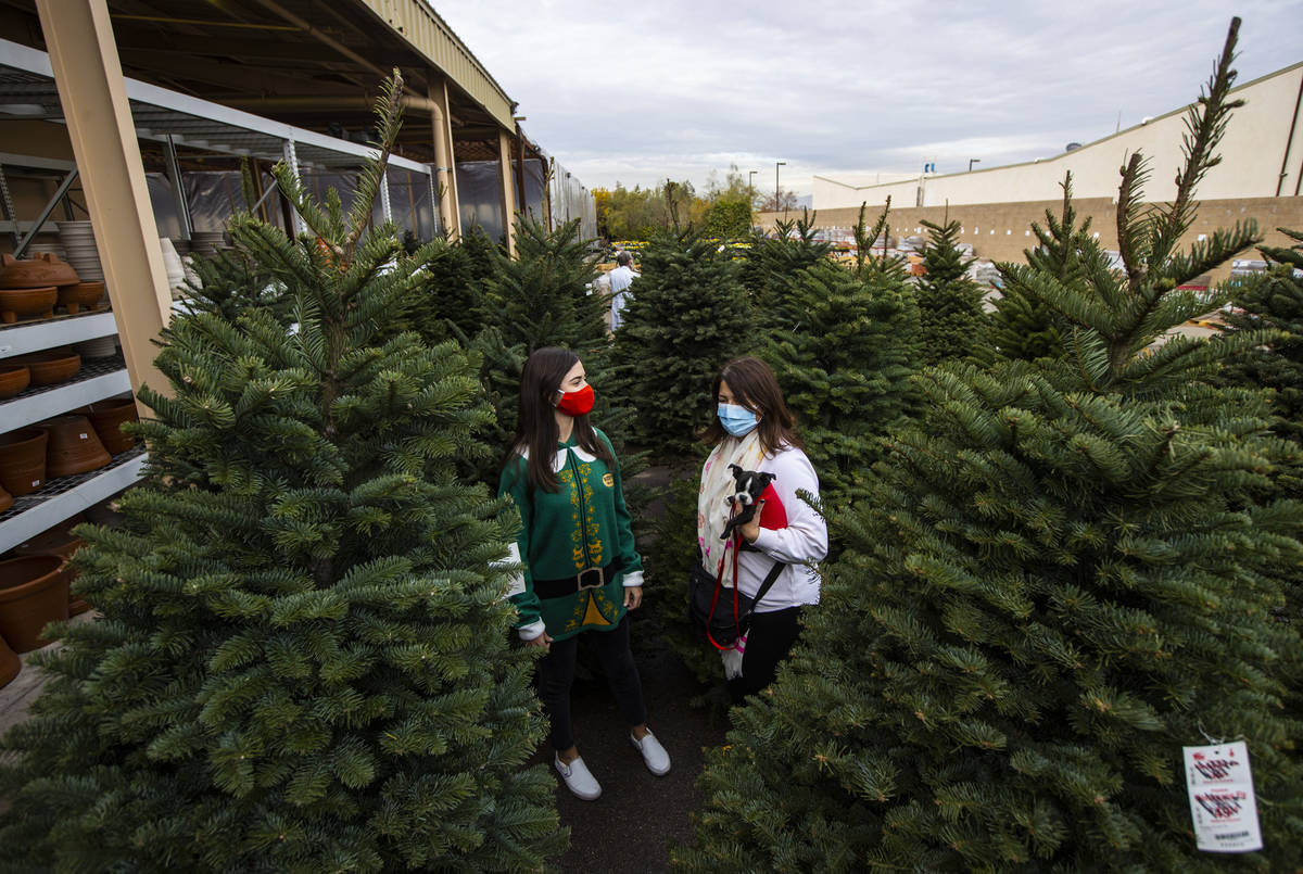 Maddy Chatham, left, shops for a Christmas tree with her mom, Lisa Chatham, and their dog, Olli ...