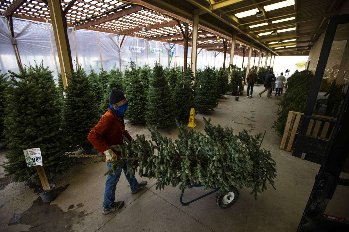 Brian Beeler, in outdoor sales at Star Nursery, moves a Christmas tree for customers at Star Nu ...