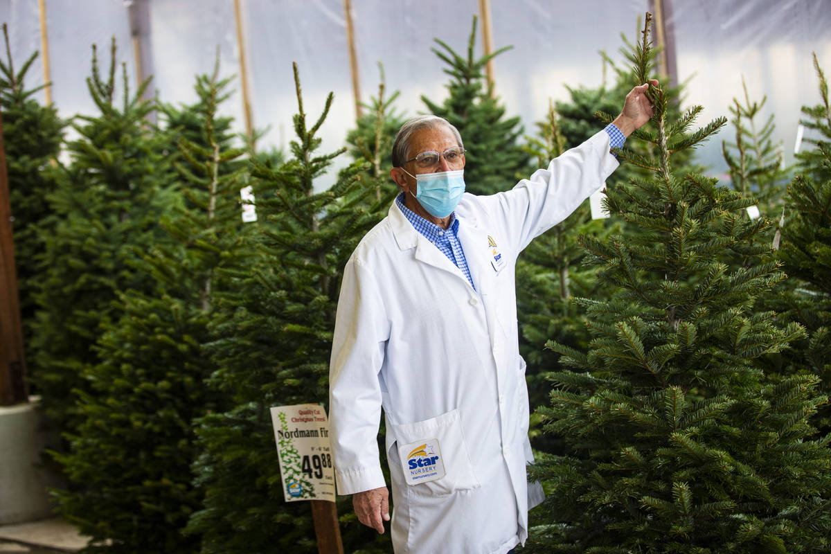 Paul Noe, horticultural expert at Star Nursery, talks about Christmas trees at Star Nursery in ...