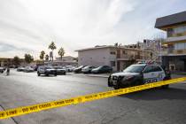 Metropolitan police investigate a homicide in the 4700 block of Deckow Lane on Sunday, Dec. 13, ...