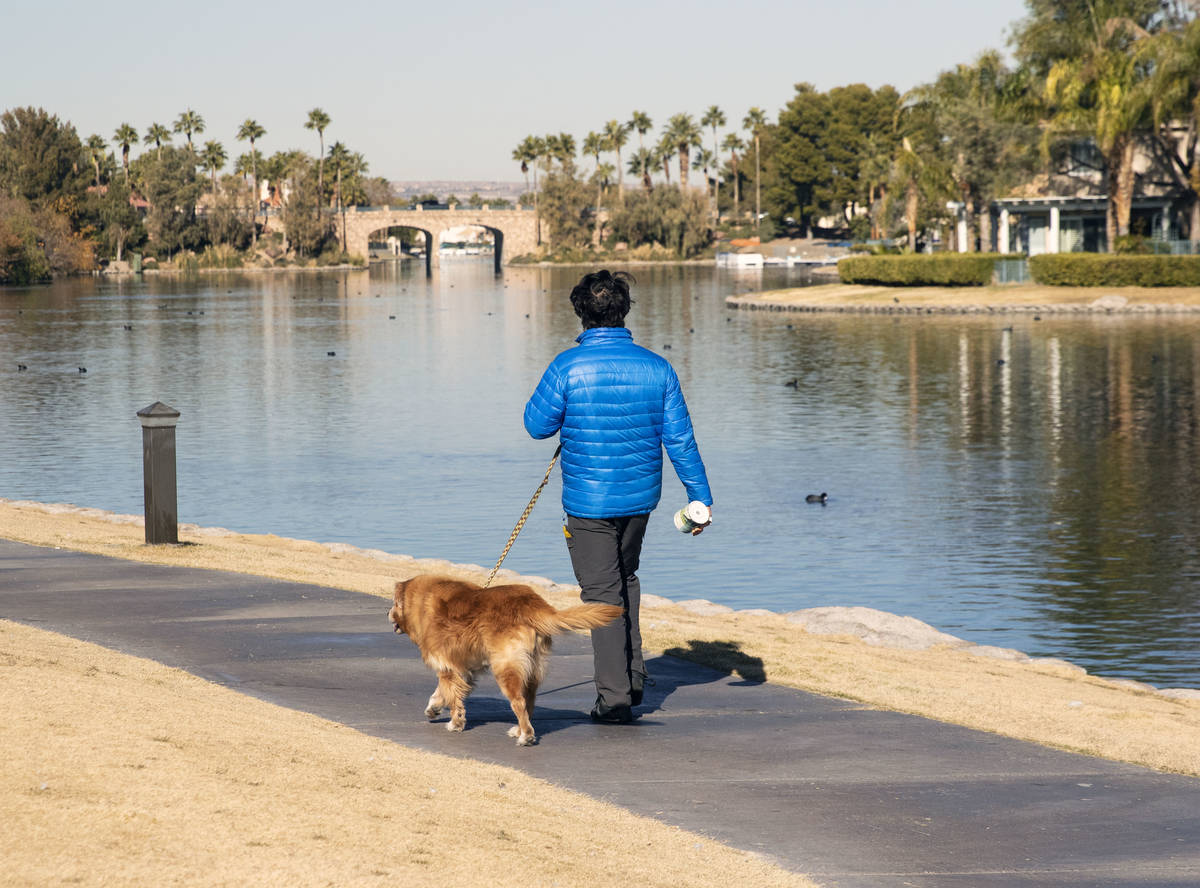 A man walks his dog near Lake Jacqueline where a woman's body was found floating at Regatta and ...