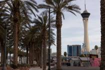 The Las Vegas high temperature is expected to be about 63 on Sunday, Dec. 20, 2020, according t ...