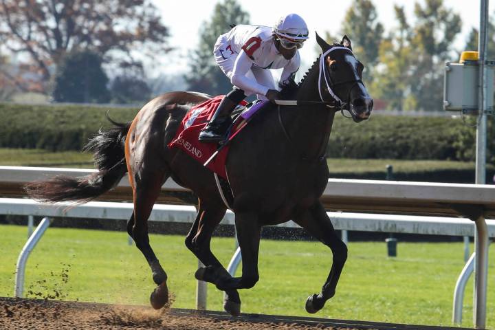 November 7, 2020, Lexington, Kentucky, USA: November 7, 2020 : Nashville, ridden by Ricardo San ...