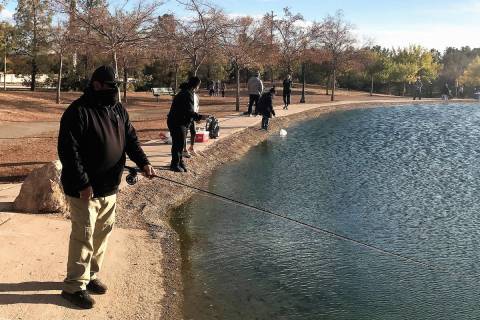 Mike Garcia, of Henderson, enjoys fly-fishing for trout at the urban ponds in the Las Vegas Val ...