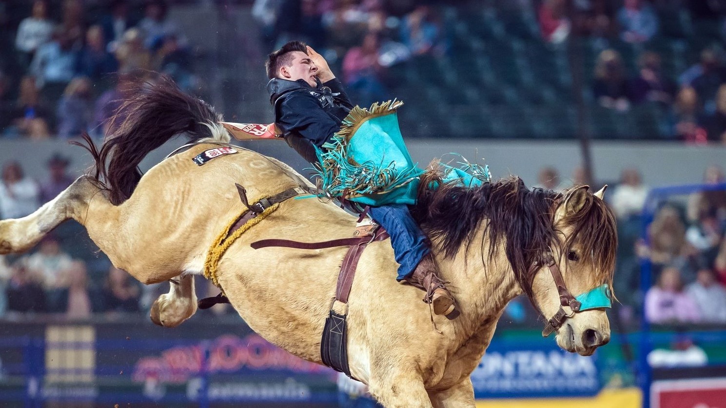 2020 NFR Results | 10th go-round | Texas | Las Vegas Review-Journal